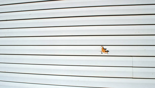 Best Custom Siding Design  in Rocky Point, WA
