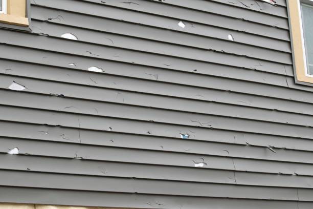 Best Brick Veneer Siding  in Rocky Point, WA